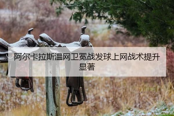a-er-ka-la-si-wen-wang-wei-mian-zhan-fa-qiu-shang-wang-zhan-shu-ti-sheng-xian-zhu-2-517.jpg