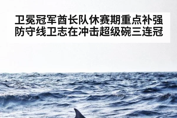卫冕冠军酋长队休赛期重点补强防守线卫志在冲击超级碗三连冠
